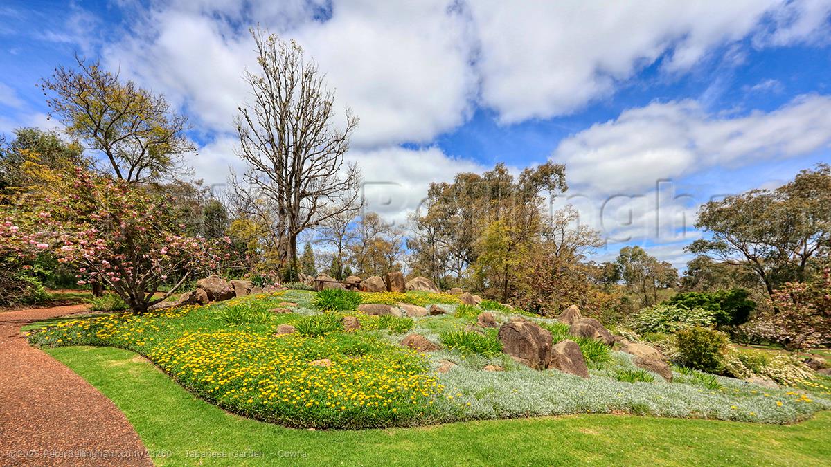 Peter Bellingham Photography Japanese Garden - Cowra